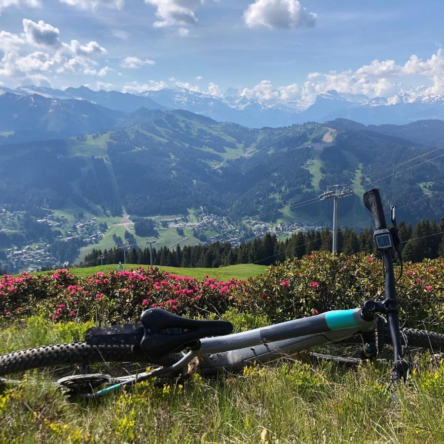'Petite Ferme Les Bouts' Apartment, Sleeps 6, Nr Morzine La Cote d'Arbroz Bagian luar foto