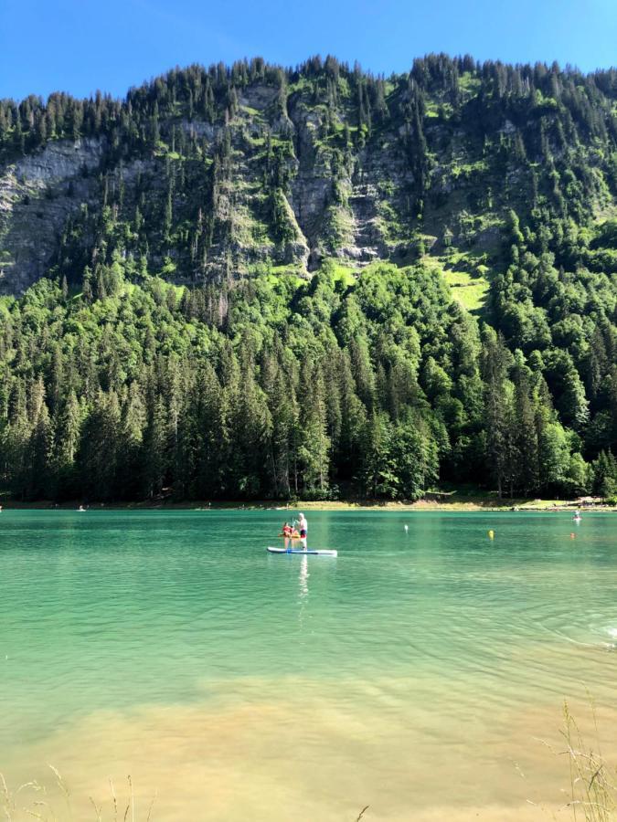'Petite Ferme Les Bouts' Apartment, Sleeps 6, Nr Morzine La Cote d'Arbroz Bagian luar foto